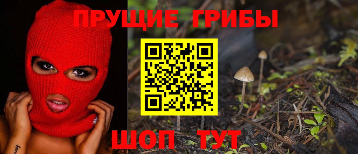 Псилоцибиновые грибы ЛСД Гусиноозёрск