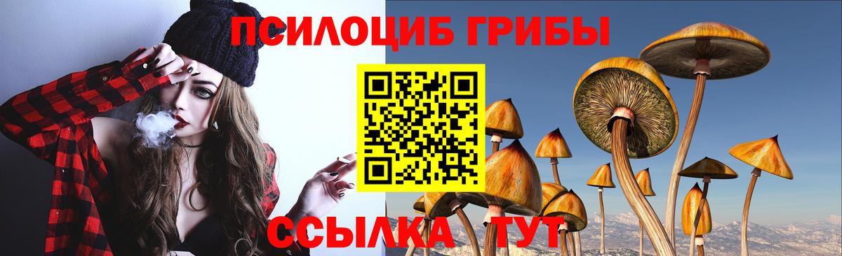 Псилоцибиновые грибы ЛСД  Вход с VPN  Гусиноозёрск 